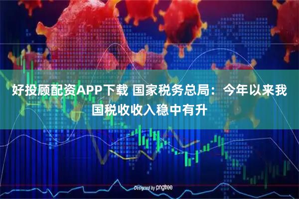 好投顾配资APP下载 国家税务总局：今年以来我国税收收入稳中有升