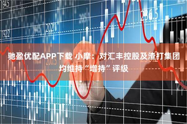 驰盈优配APP下载 小摩：对汇丰控股及渣打集团均维持“增持”评级