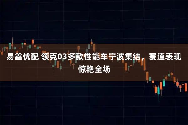 易鑫优配 领克03多款性能车宁波集结，赛道表现惊艳全场