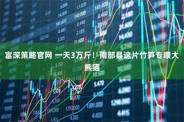 富深策略官网 一天3万斤！南部县这片竹笋专喂大熊猫