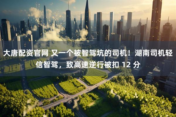 大唐配资官网 又一个被智驾坑的司机！湖南司机轻信智驾，致高速逆行被扣 12 分